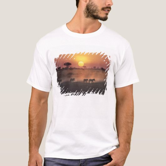 Afrika, Kenia, Amboseli NP Zebra zu Fuß T-Shirt (Vorderseite)