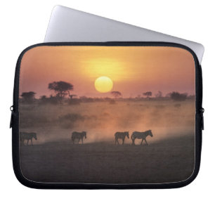 Afrika, Kenia, Amboseli NP. Zebras gehen zum Laptopschutzhülle