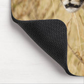 Afrika. Kenia. Cheetah bei Samburu NP. Mousepad (Ecke)