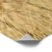 Afrika. Kenia. Cheetah bei Samburu NP. Poster (Ecke)