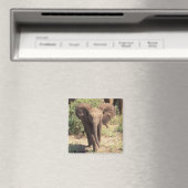 Afrika, Kenia, der Amboseli-Nationalpark. Afrika 2 Magnet (In Situ (Geschirrspüler))