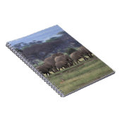 Afrika, Kenia, der Amboseli-Nationalpark. Afrika 3 Notizblock (Rechte Seite)