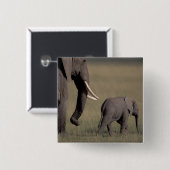 Afrika, Kenia, der Amboseli-Nationalpark. afrikani Button (Vorne & Hinten)
