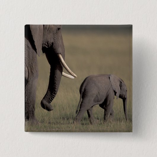 Afrika, Kenia, der Amboseli-Nationalpark. afrikani Button (Vorderseite)