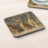 Afrika. Kenia. Herde retikulierter Giraffen Getränkeuntersetzer (Linke Seite)