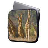 Afrika. Kenia. Herde retikulierter Giraffen Laptopschutzhülle (Vorderseite Links)