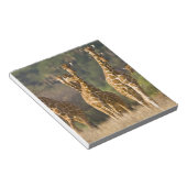 Afrika. Kenia. Herde retikulierter Giraffen Notizblock (angewinkelt)