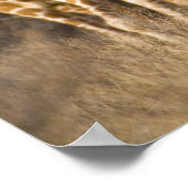 Afrika. Kenia. Herde retikulierter Giraffen Poster (Ecke)