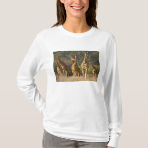 Afrika. Kenia. Herde retikulierter Giraffen T-Shirt