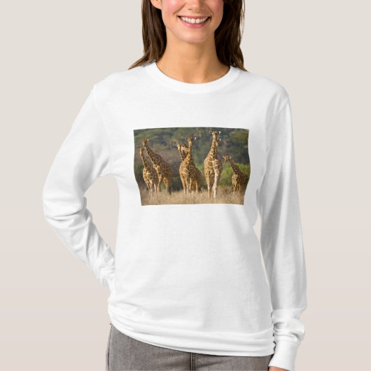 Afrika. Kenia. Herde retikulierter Giraffen T-Shirt (Vorderseite)