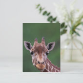 Afrika, Kenia, Impala Ranch. retikanimiert Postkarte (Stehend Vorderseite)