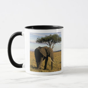 Afrika, Kenia, Maasai Mara. Ein Elefant in der Tasse