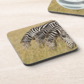 Afrika, Kenia, Maasai Mara Untersetzer (Linke Seite)