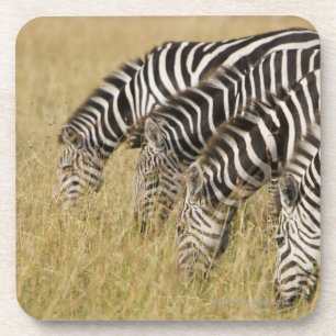 Afrika, Kenia, Maasai Mara Untersetzer