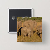 Afrika, Kenia, Masai Mara. Afrikanischer Elefant Button (Vorne & Hinten)
