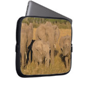 Afrika, Kenia, Masai Mara. Afrikanischer Elefant Laptopschutzhülle (Vorne Rechts)