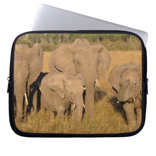 Afrika, Kenia, Masai Mara. Afrikanischer Elefant Laptopschutzhülle (Vorderseite)