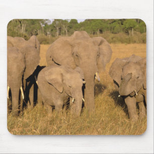 Afrika, Kenia, Masai Mara. Afrikanischer Elefant Mousepad