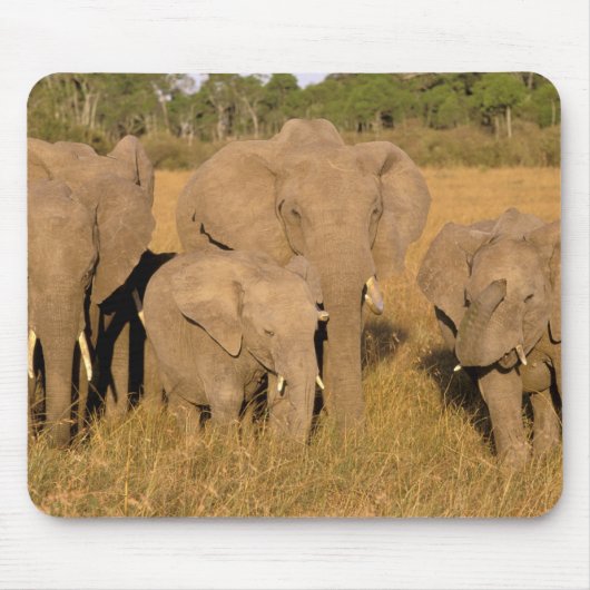 Afrika, Kenia, Masai Mara. Afrikanischer Elefant Mousepad (Vorne)