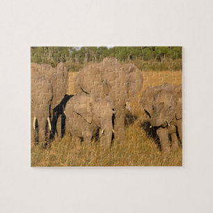 Afrika, Kenia, Masai Mara. Afrikanischer Elefant Puzzle