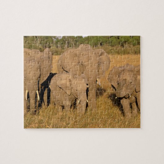 Afrika, Kenia, Masai Mara. Afrikanischer Elefant Puzzle (Horizontal)