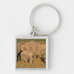 Afrika, Kenia, Masai Mara. Afrikanischer Elefant Schlüsselanhänger