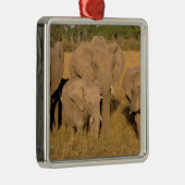 Afrika, Kenia, Masai Mara. Afrikanischer Elefant Silbernes Ornament (Rechts)