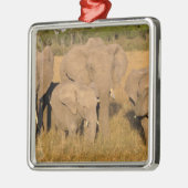 Afrika, Kenia, Masai Mara. Afrikanischer Elefant Silbernes Ornament (Links)