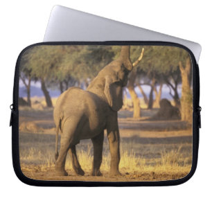 Afrika, Kenia, Masai Mara. Elefant (Loxodonta Laptopschutzhülle