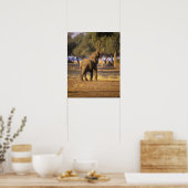 Afrika, Kenia, Masai Mara. Elefant (Loxodonta Poster (Küche)