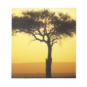 Afrika, Kenia, Masai Mara Game Reserve, Aufgehend Notizblock