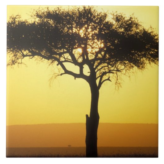 Afrika, Kenia, Masai Mara Game Reserve, Aufstieg Fliese (Vorderseite)