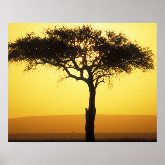 Afrika, Kenia, Masai Mara Game Reserve, Aufstieg Poster (Vorne)