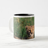 Afrika, Kenia, Masai Mara Game Reserve. Cheetah Zweifarbige Tasse (Vorderseite Links)