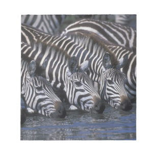 Afrika, Kenia, Masai Mara Game Reserve, Ebenen Notizblock