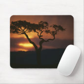 Afrika, Kenia, Masai Mara Game Reserve, Mousepad (Mit Mouse)