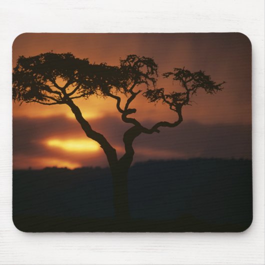 Afrika, Kenia, Masai Mara Game Reserve, Mousepad (Vorne)