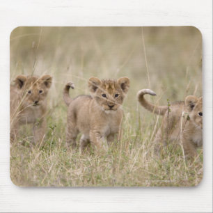 "Afrika, Kenia, Masai Mara Game Reserve" Mousepad
