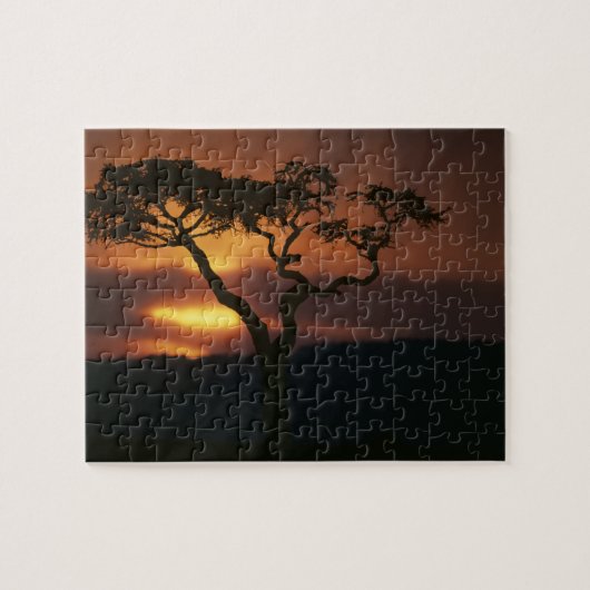 Afrika, Kenia, Masai Mara Game Reserve, Puzzle (Horizontal)