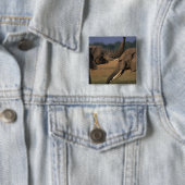 Afrika, Kenia, Masai Mara Game Reserve, zwei Bulle Button (Beispiel)