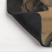 Afrika, Kenia, Masai Mara Game Reserve, zwei Bulle Mousepad (Ecke)