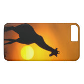 Afrika, Kenia, Masai Mara. Giraffe (Giraffa Case-Mate iPhone Hülle (Rückseite (Horizontal))