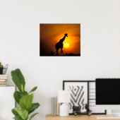 Afrika, Kenia, Masai Mara. Giraffe (Giraffe) Poster (Heimbüro)