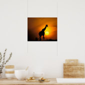 Afrika, Kenia, Masai Mara. Giraffe (Giraffe) Poster (Küche)