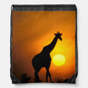 Afrika, Kenia, Masai Mara. Giraffe (Giraffe Sportbeutel