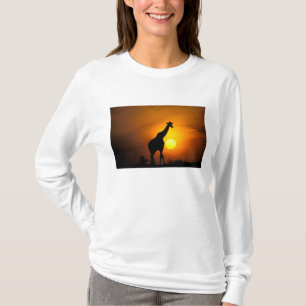 Afrika, Kenia, Masai Mara. Giraffe (Giraffe) T-Shirt