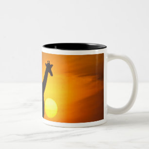 Afrika, Kenia, Masai Mara. Giraffe (Giraffe) Zweifarbige Tasse