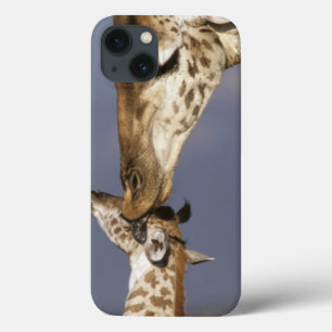 Afrika, Kenia, Masai Mara. Giraffen (Giraffe iPhone 13 Hülle