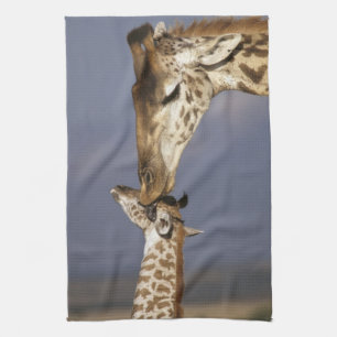 Afrika, Kenia, Masai Mara. Giraffen (Giraffe Handtuch