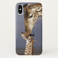 Afrika, Kenia, Masai Mara. Giraffen (Giraffen)